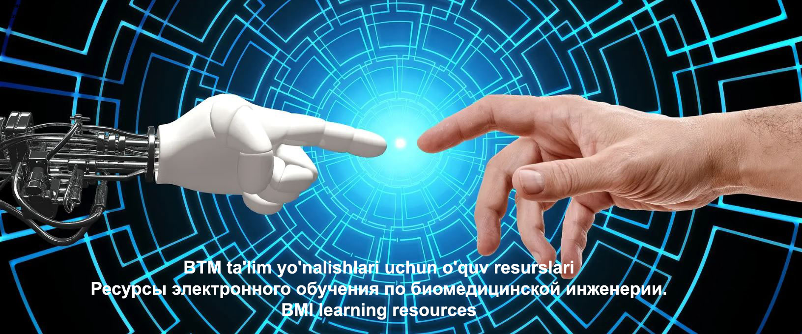 Электронные учебные ресурсы BМИ